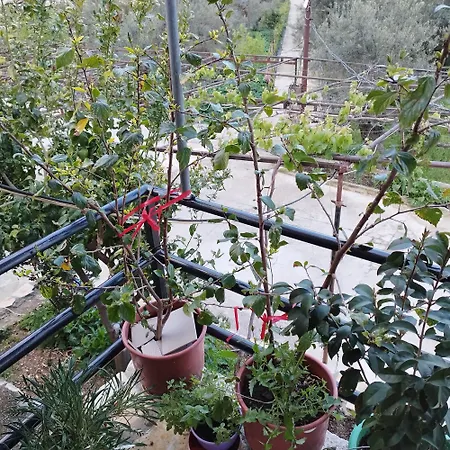 Leonora's Appartement
